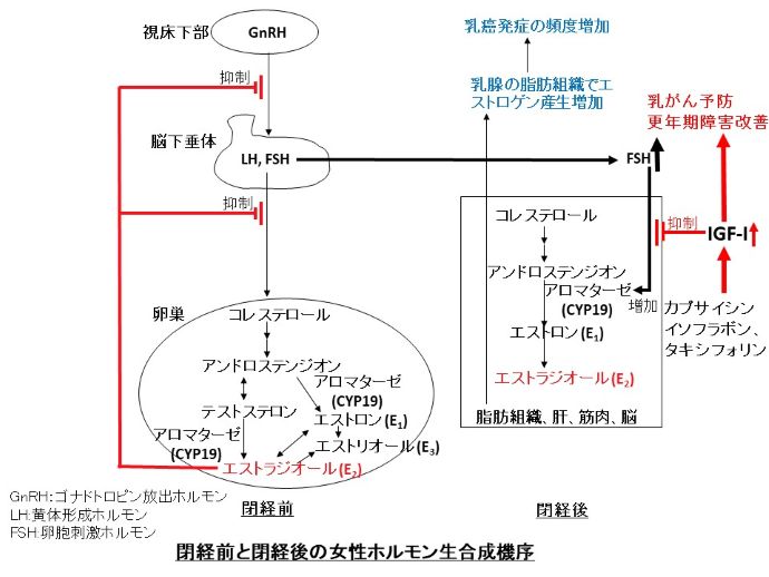 円形脱毛症　病院